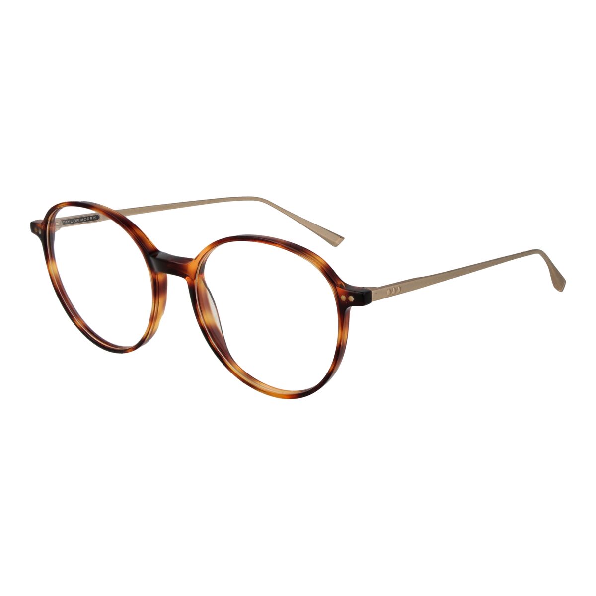 Montatura Per Occhiali Unisex Taylor Morris Sw15 c2