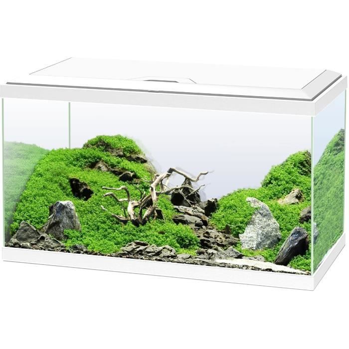 Acquario 60 - Ciano - 58 L + Filtro + Led + Riscaldatore + Materiali Di Consumo - Bianco