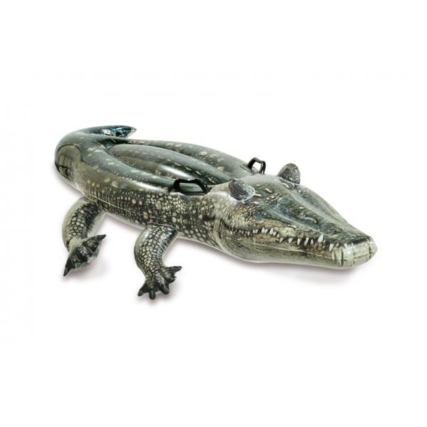 Intex Alligator Giro