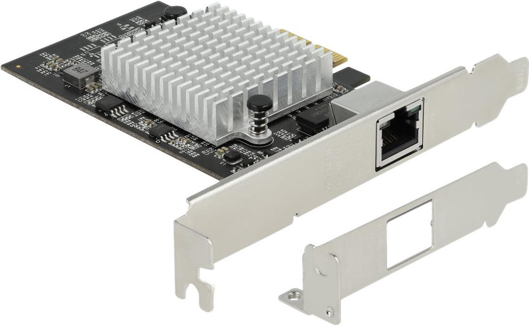 Delock - Netzwerkadapter - Pcie 3.0 X2 LoW-Profile - 10m/100m/1g/2,5g/5g/10 Gigabit Ethernet (89528)