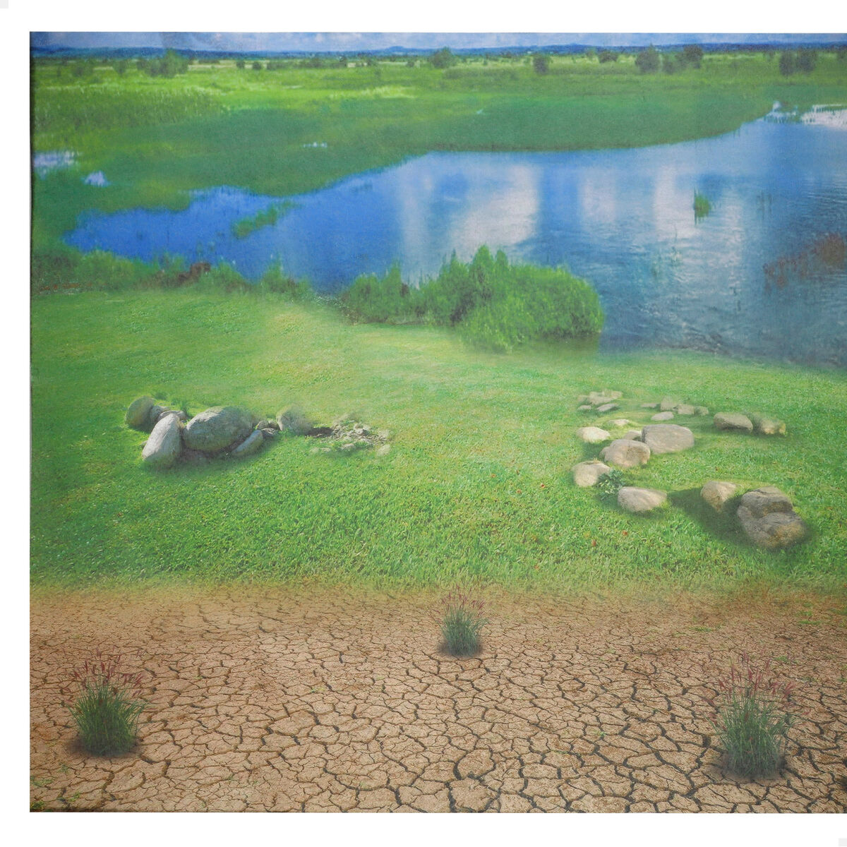 Set Animali Selvaggi Colorbaby Plastica 13 x 12 x 5 cm (4 Unità) - Image 4