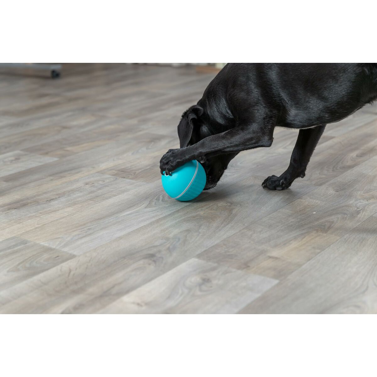 Giocattoli per cani Trixie Azzurro Caucciù Plastica TPR Ø 14 cm Snacks - Image 3
