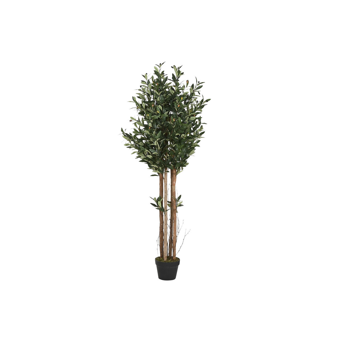 Albero Home ESPRIT Poliestere polipropilene Ulivo