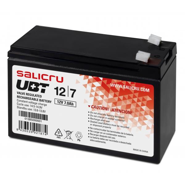 Batteria per Gruppo di Continuità UPS Salicru 013BS000001 12 V