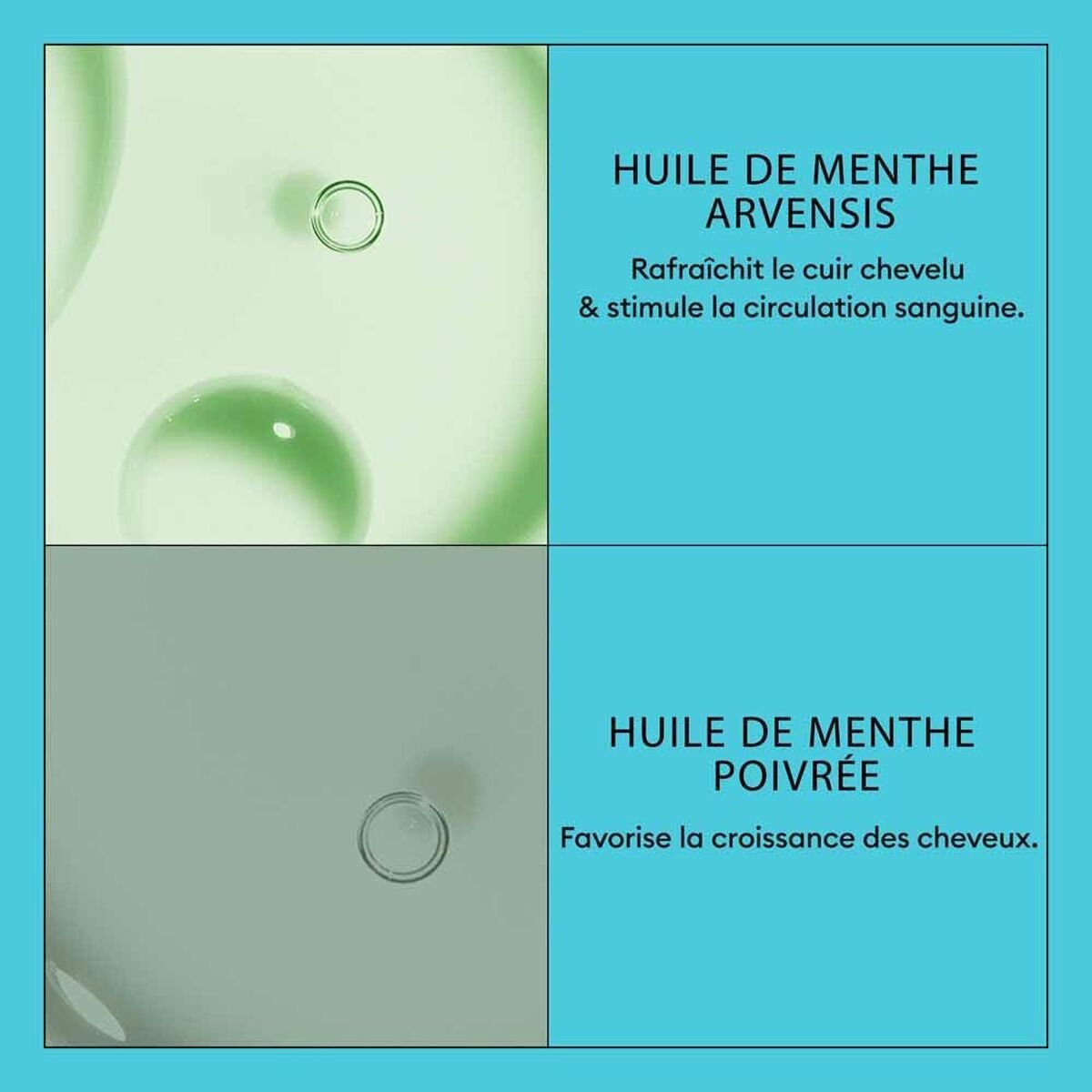 Balsamo Nioxin 300 ml - Image 4