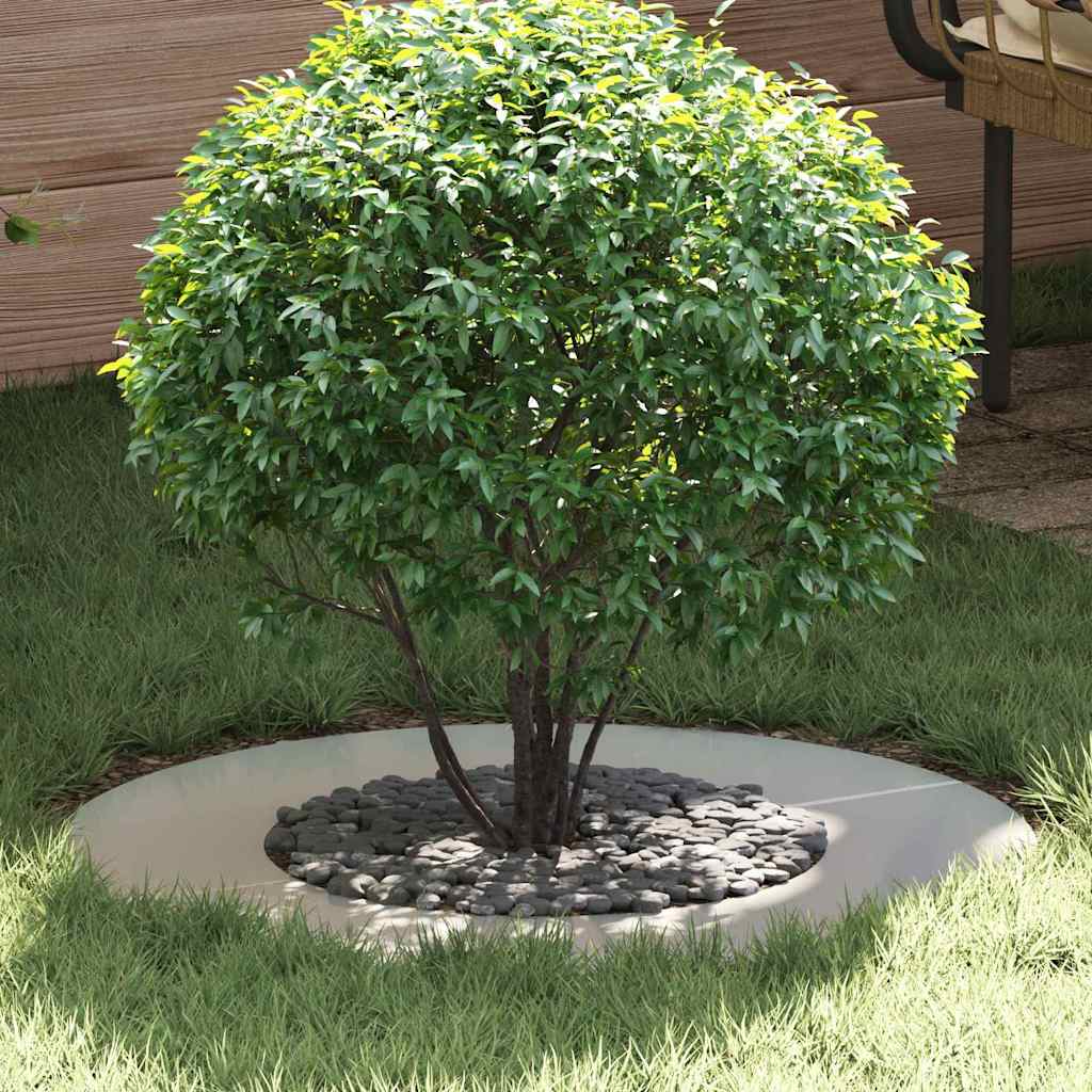 Adatto Per Anelli D'albero Piatto 5 Pcs Argento Ø40 / 70 cm