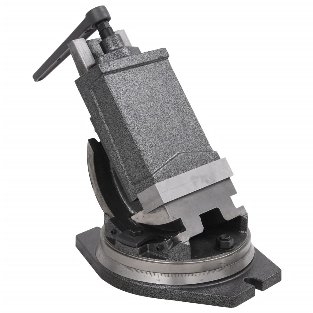 vidaXL Tornillo de banco basculante de 2 ejes 160 mm
