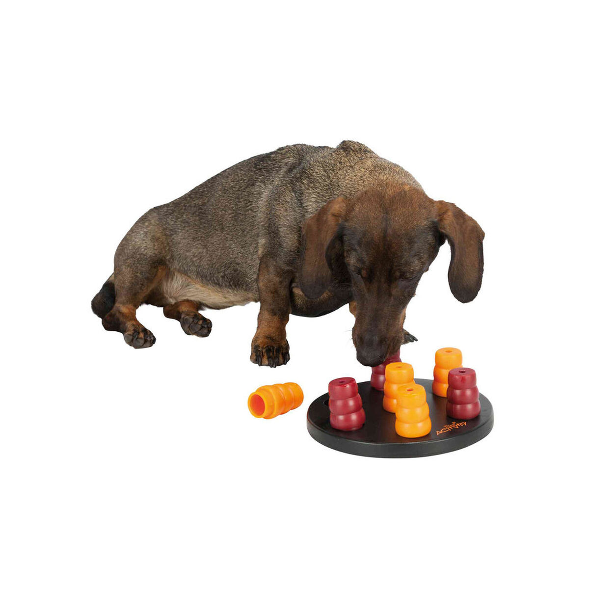 Giocattoli per cani Trixie Mini Solitario - Image 3