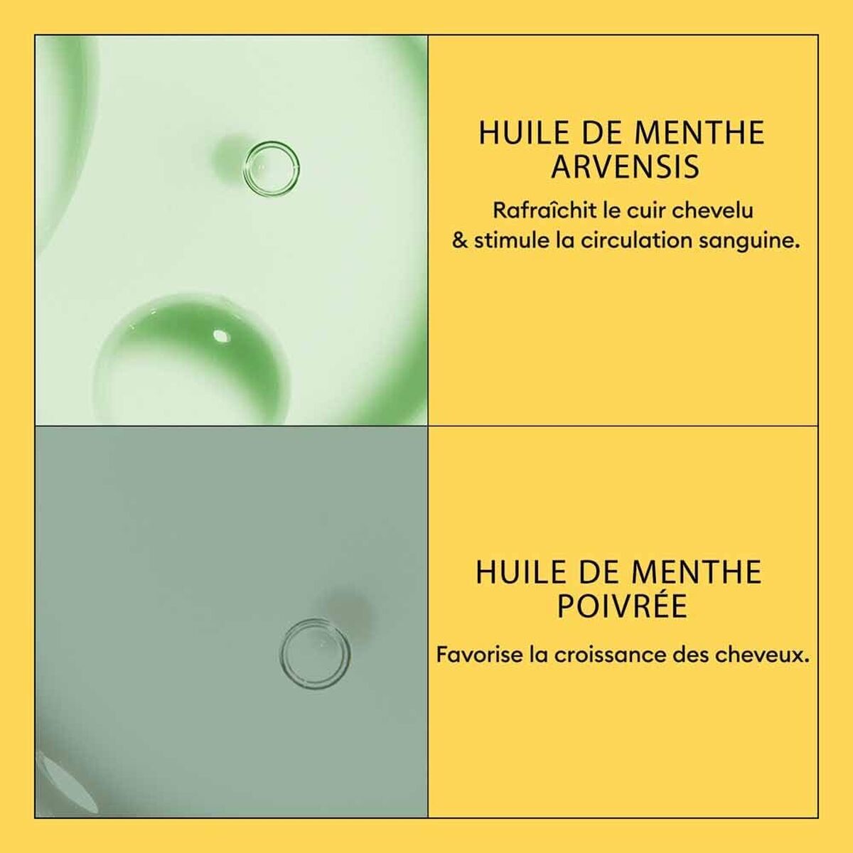 Schampoo + Balsamo Nioxin - Image 4