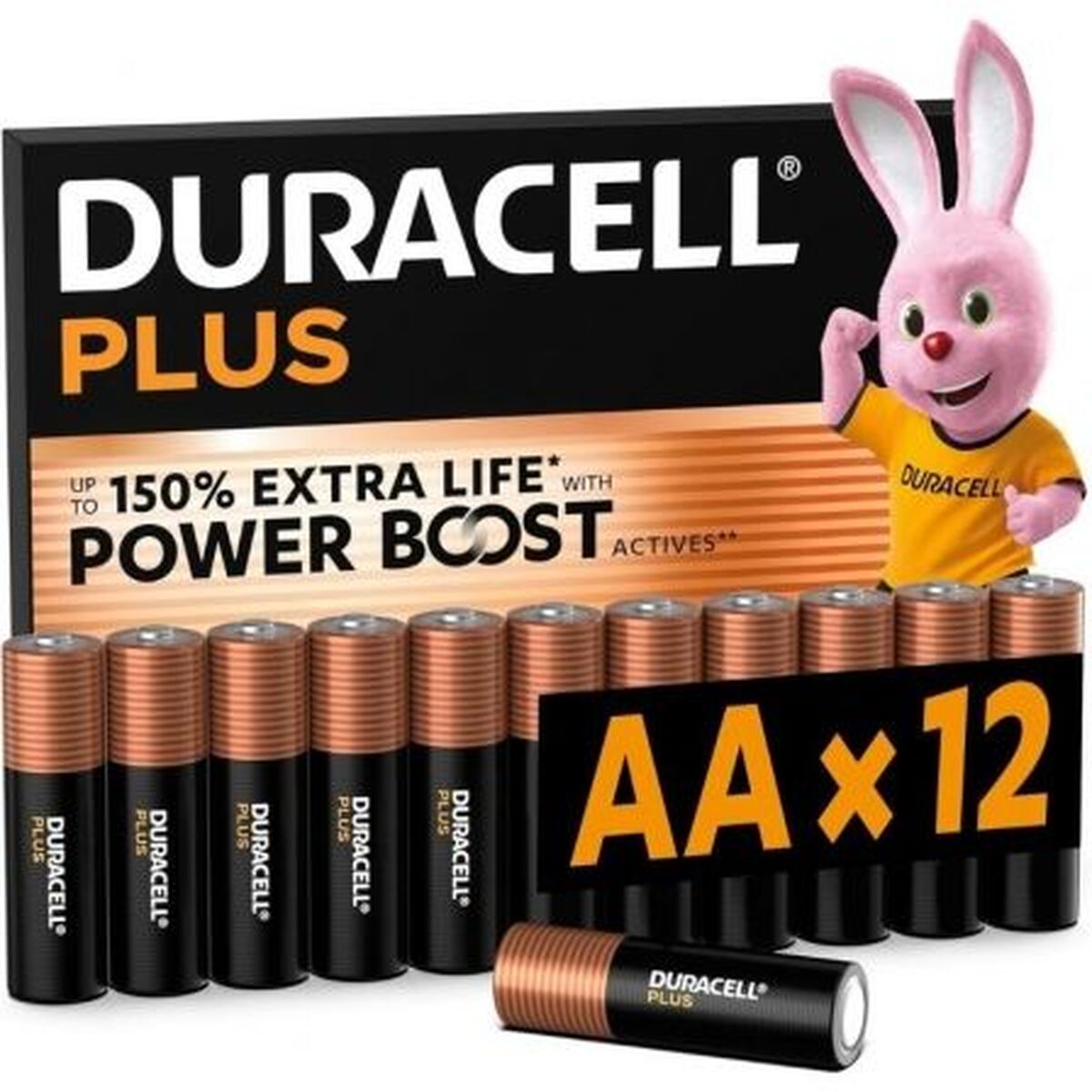 Batterie Ricaricabili DURACELL DPBLR6B12 1,5 V