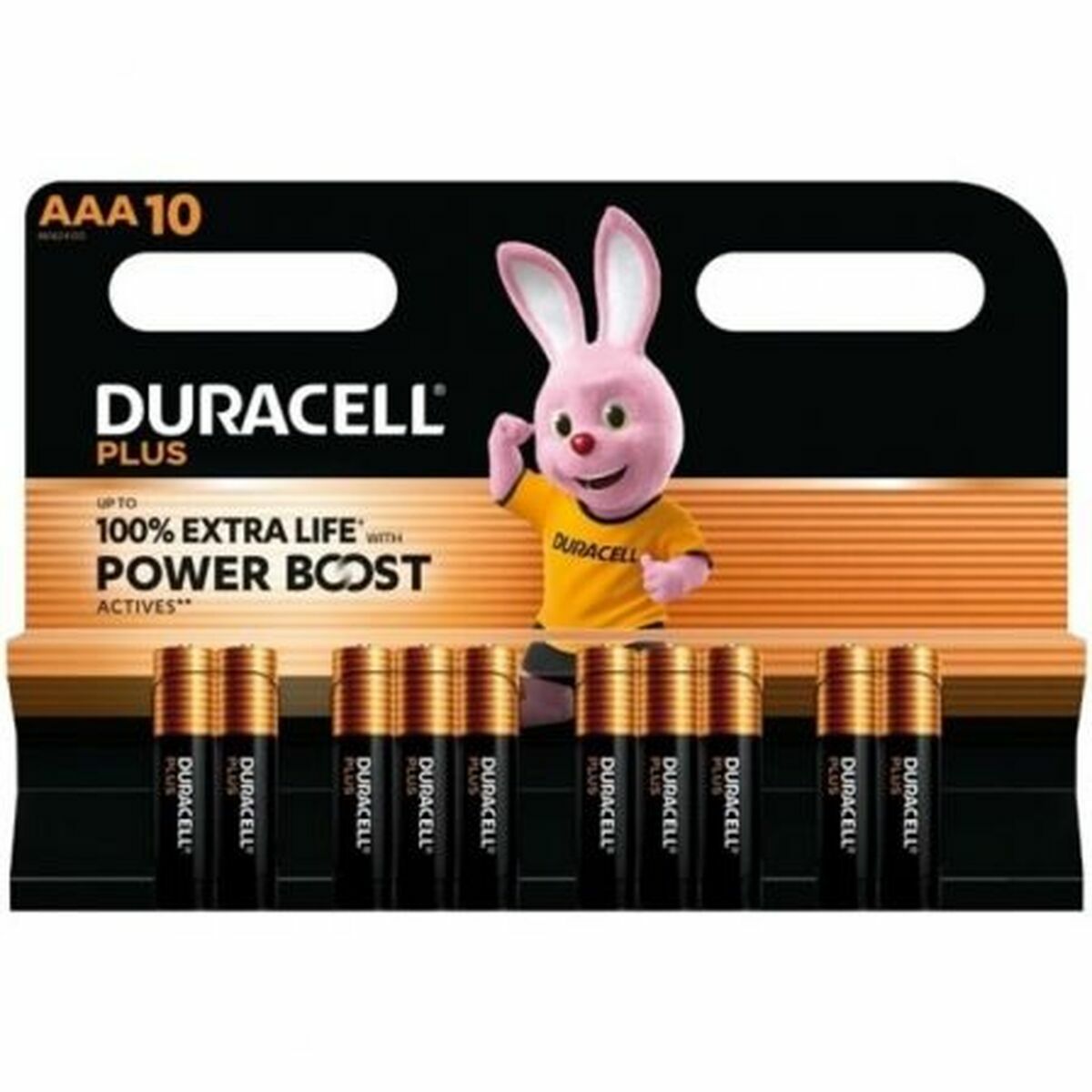 Batterie Ricaricabili DURACELL DPBLR3B10 1,5 V AAA