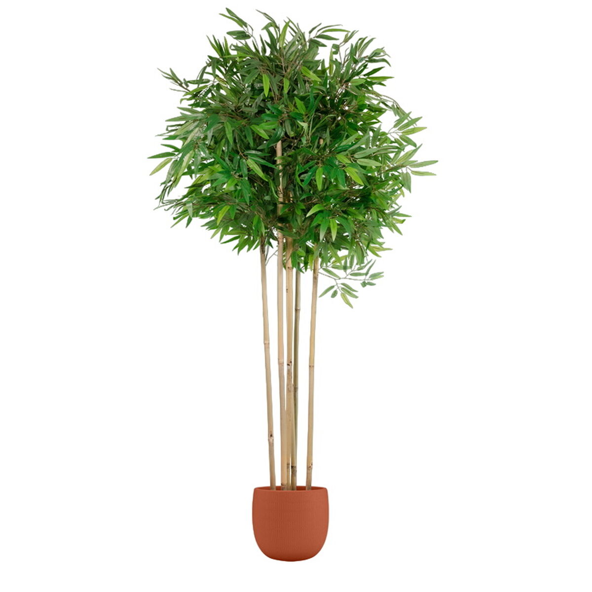 Albero Home ESPRIT Poliestere Bambù 80 x 80 x 180 cm
