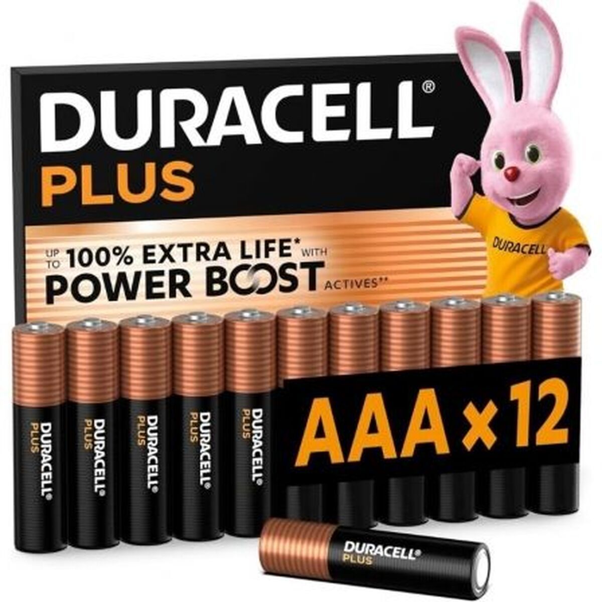Batterie Ricaricabili DURACELL DPBLR3B12 1,5 V AAA
