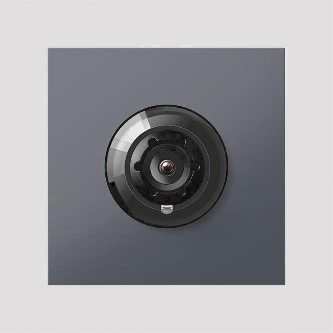 Siedle BuS-Kamera Bcm 753-0 Ag Anthrazitgrau (210012158-00)