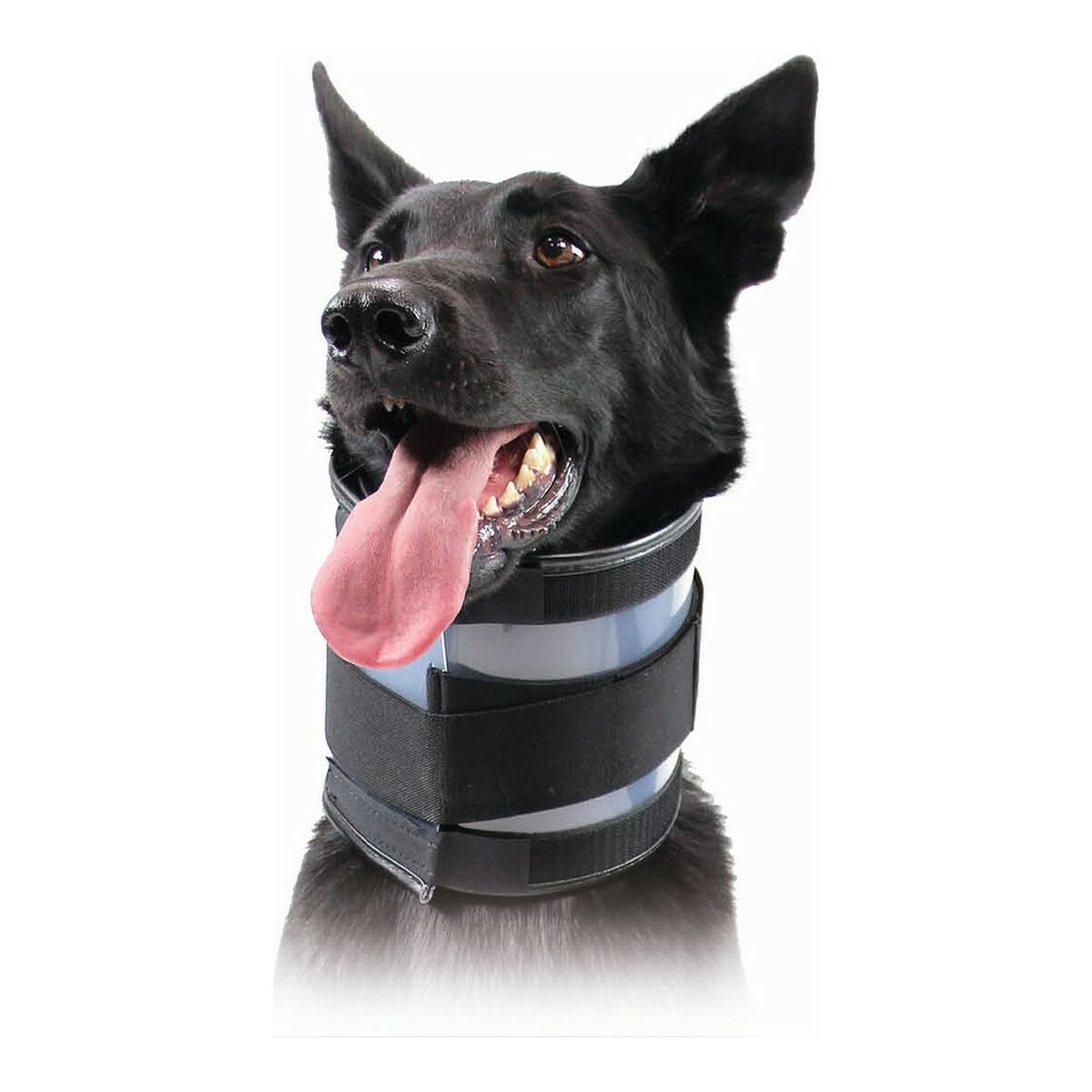 Collare Cervicale Per Cani Kvp Nero (13-48 Cm)