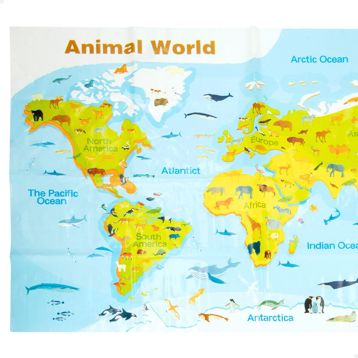 Set Animali Della Fattoria Colorbaby Plastica 14 X 10 X 5 Cm (4 Unità) - Image 4