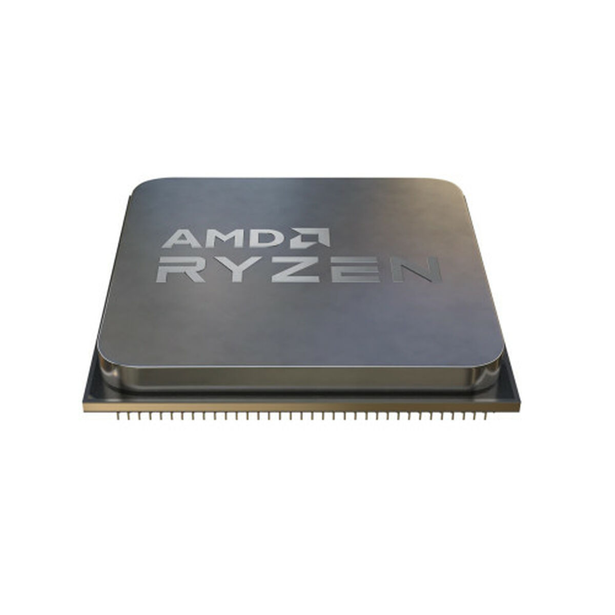 Processore AMD 100-000000718