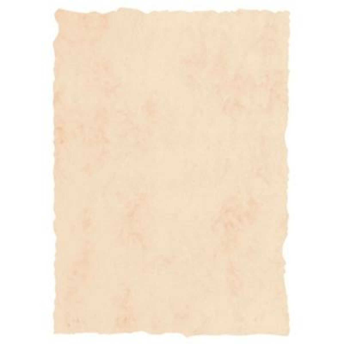 Carta pergamena Michel Beige A4 25 Pezzi