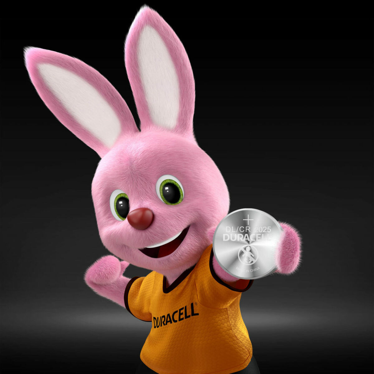 Batterie DURACELL 3V (10 Unità)