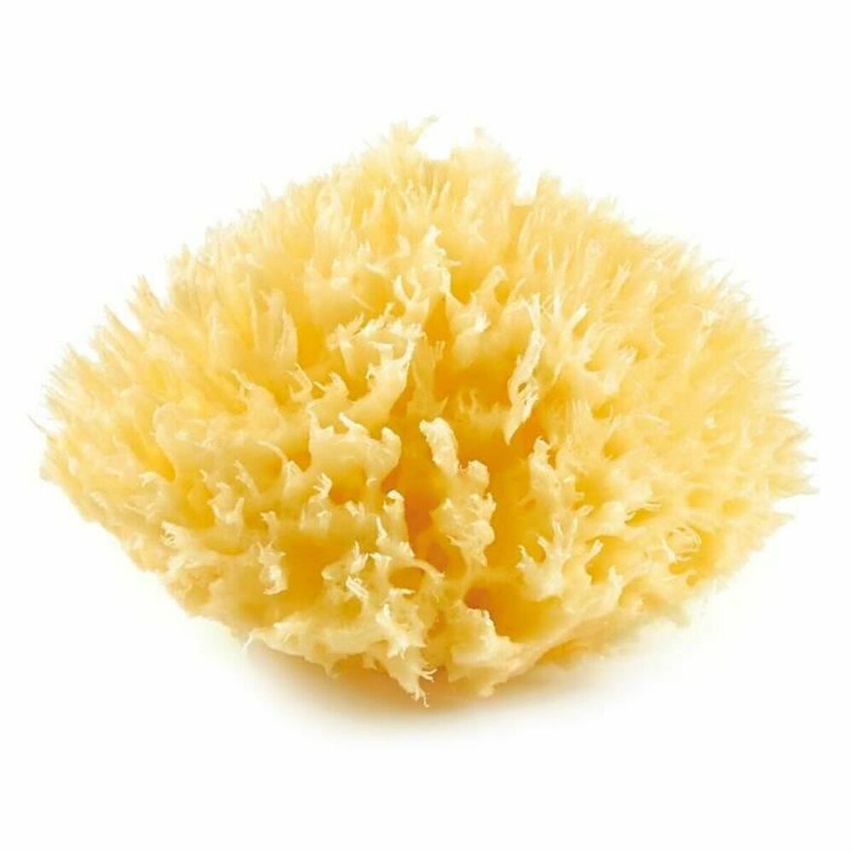 Spugna per il Corpo ThermoBaby Giallo