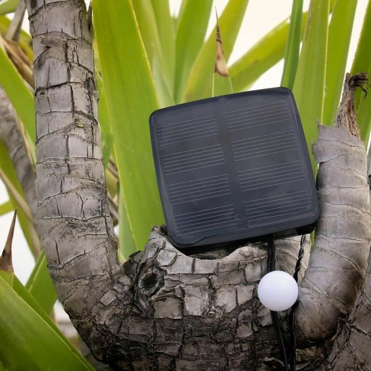 Ghirlanda Di Luci Led Lumi Garden Billy Spherical 60 Leds Nero Noir 1 W - Image 5