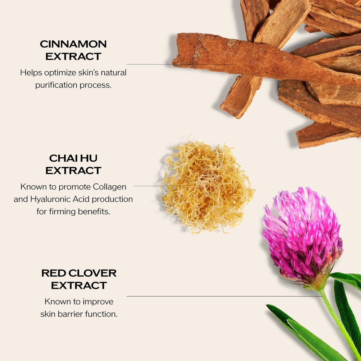 Crema Viso Shiseido Performance - Image 5