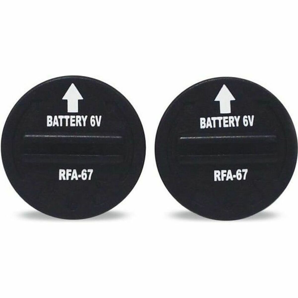 Batterie Petsafe RfA-67 6v