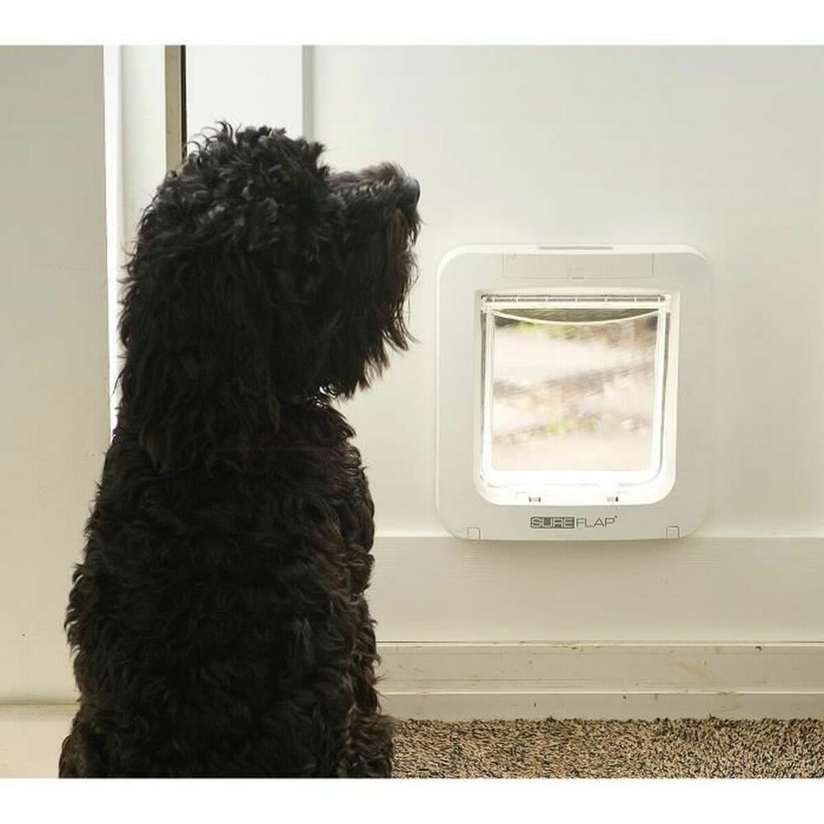 Gattaiola Sureflap Sur101 17,8 X 17 cm - Image 4