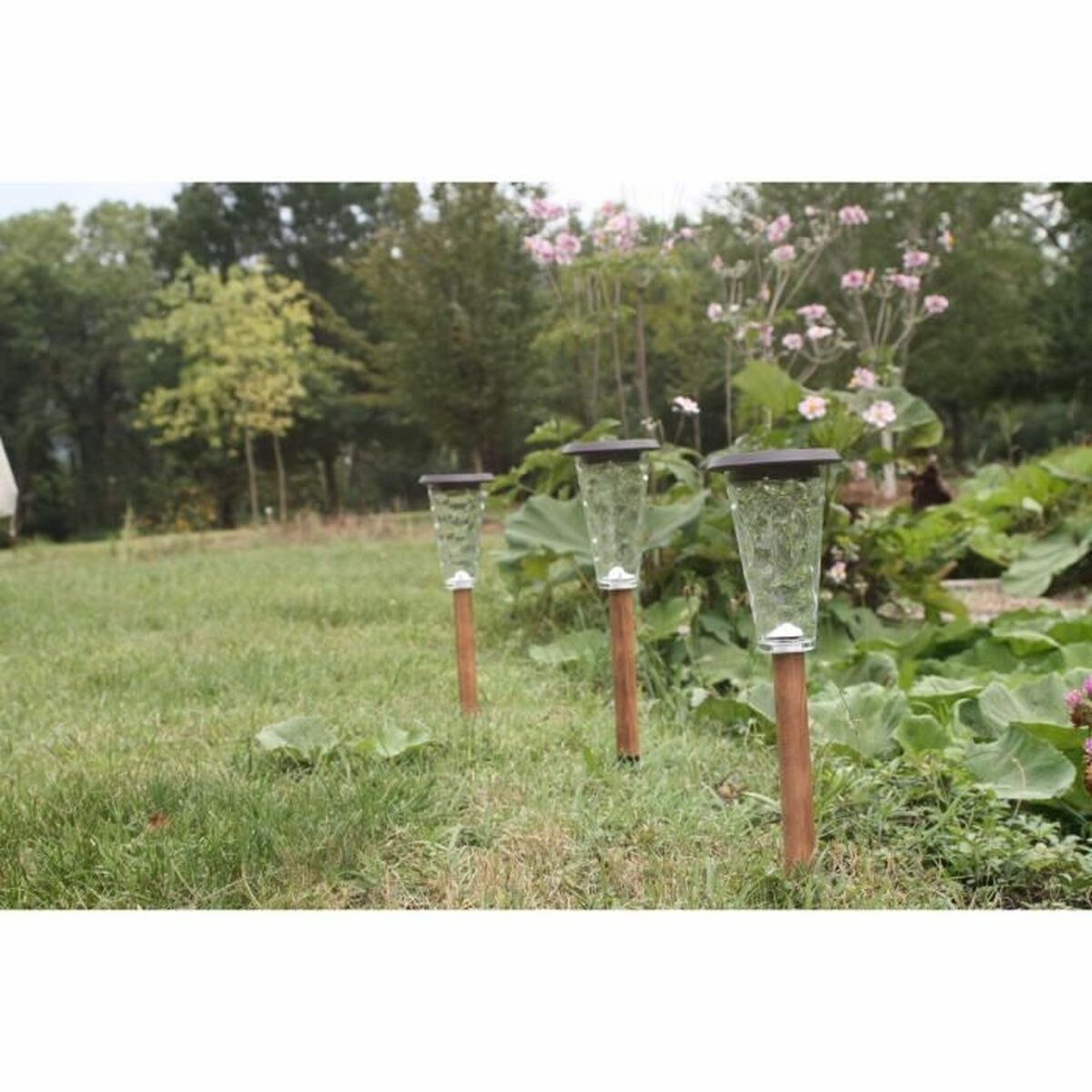 Lampada Ad Energia Solare Canopo Naturale 20 Lm (3 Unità) - Image 3