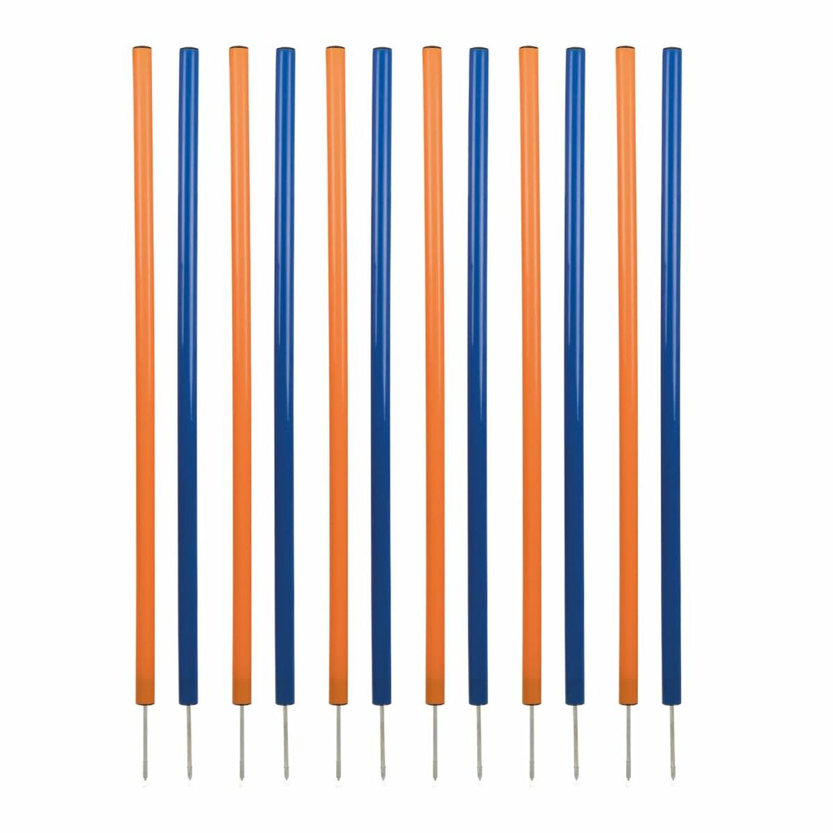 Giocattolo Da Addestramento Trixie