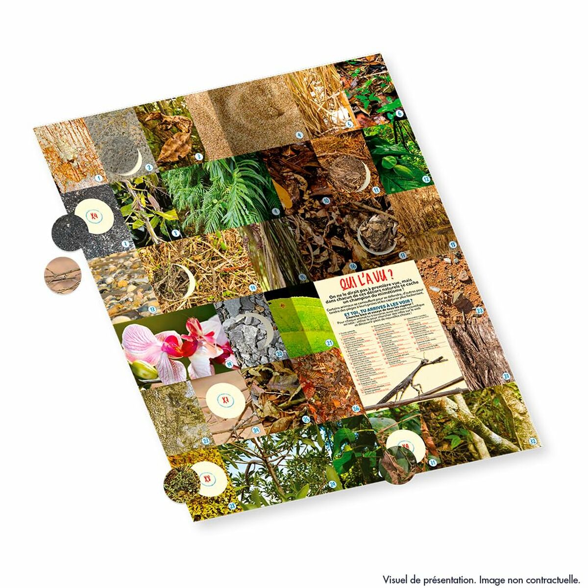 Album Di Figurine Panini Animaux - Image 4