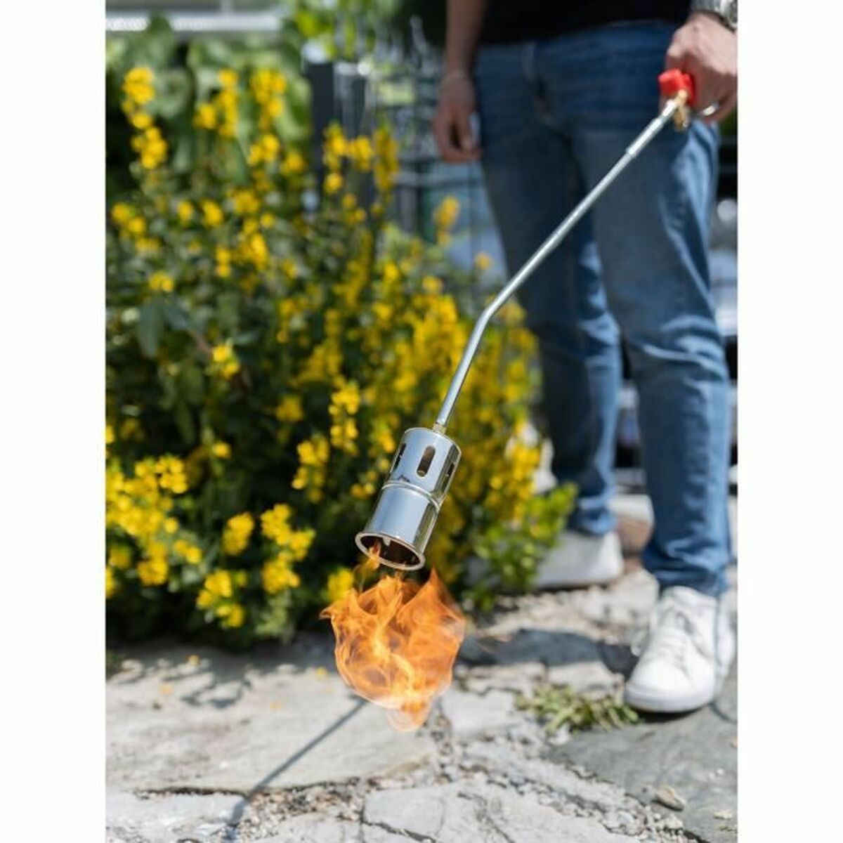 Bruciatore Di Essenze Rothenberger - Image 5