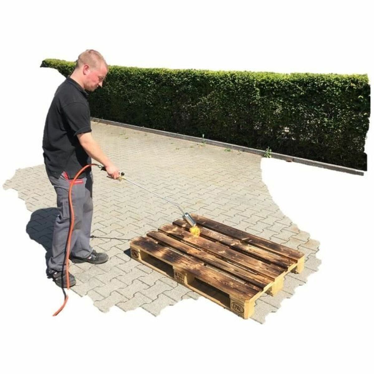 Bruciatore Di Essenze Rothenberger - Image 4