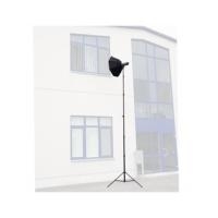 Walimex Pro Air Jumbo 730 Lampenstativ 730cm - Luftgedämpftes Lichtstativ Aluminium 7,3m Max Höhe 22,5 Kg Traglast, Stabil & Komfortabel Leuchtenstat