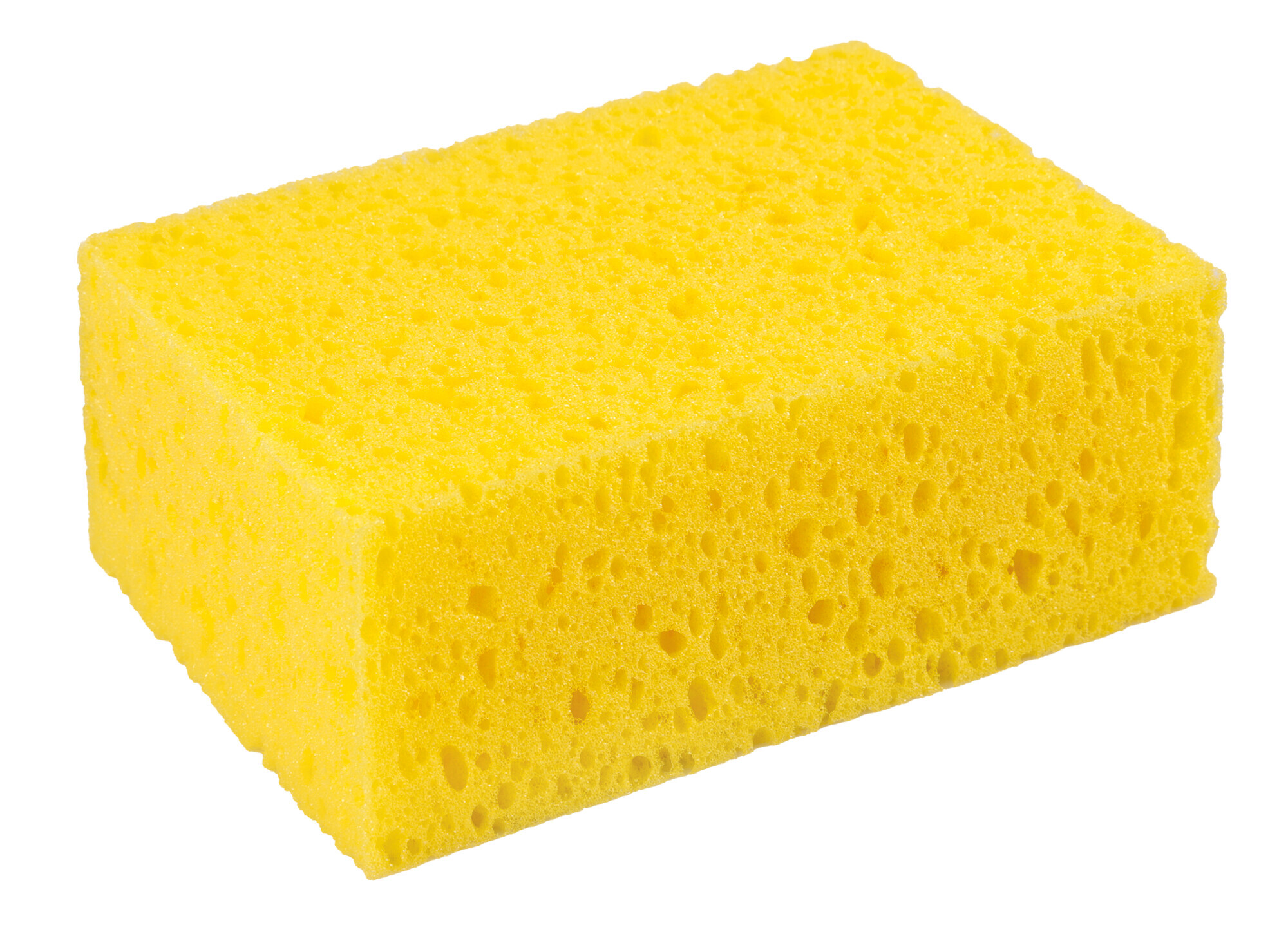 XL-Pro, Spugna Per Lavaggio
