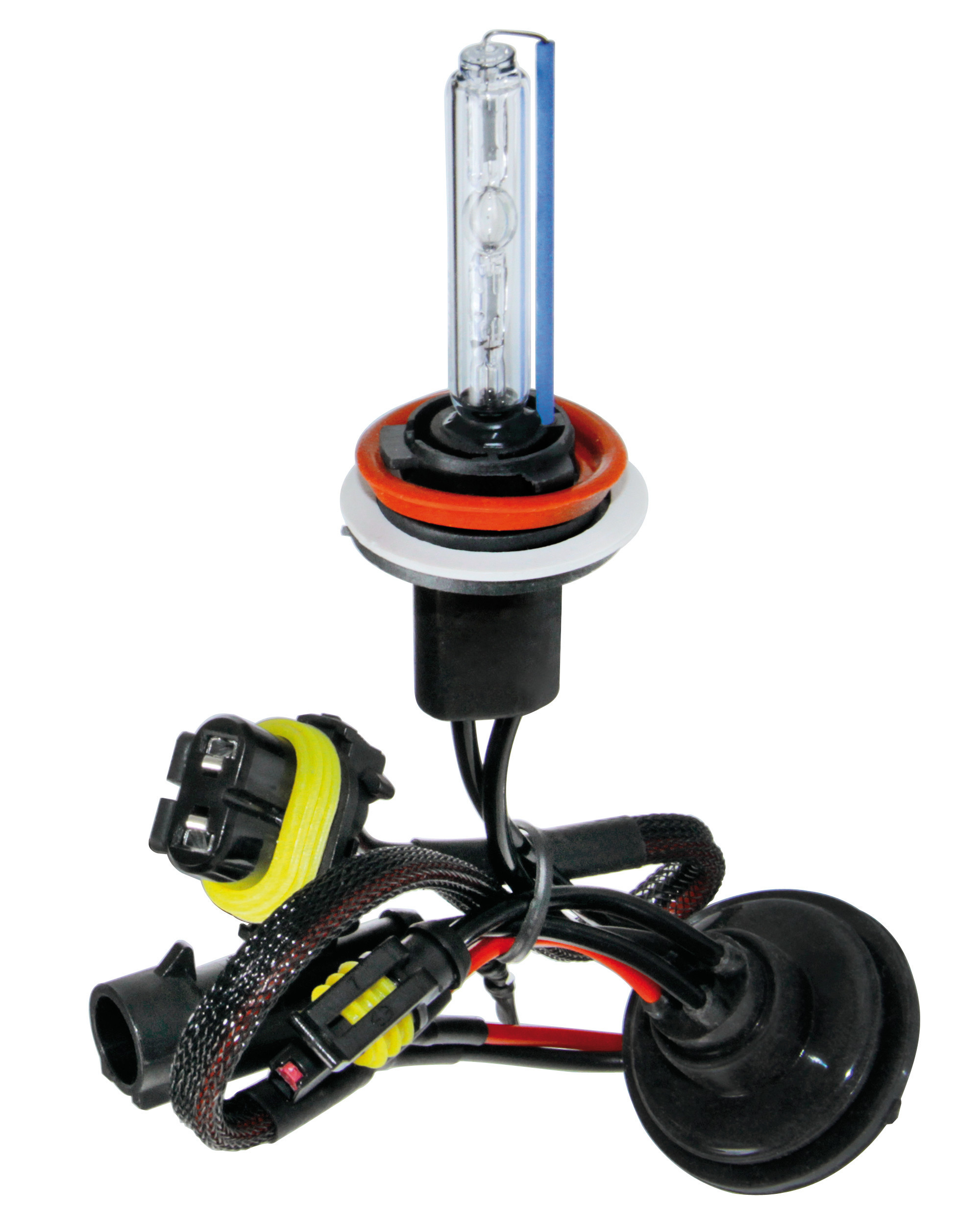 12/24v Lampadina Hid Xenon 8.000k - H11 - 1 Pz  - Scatola