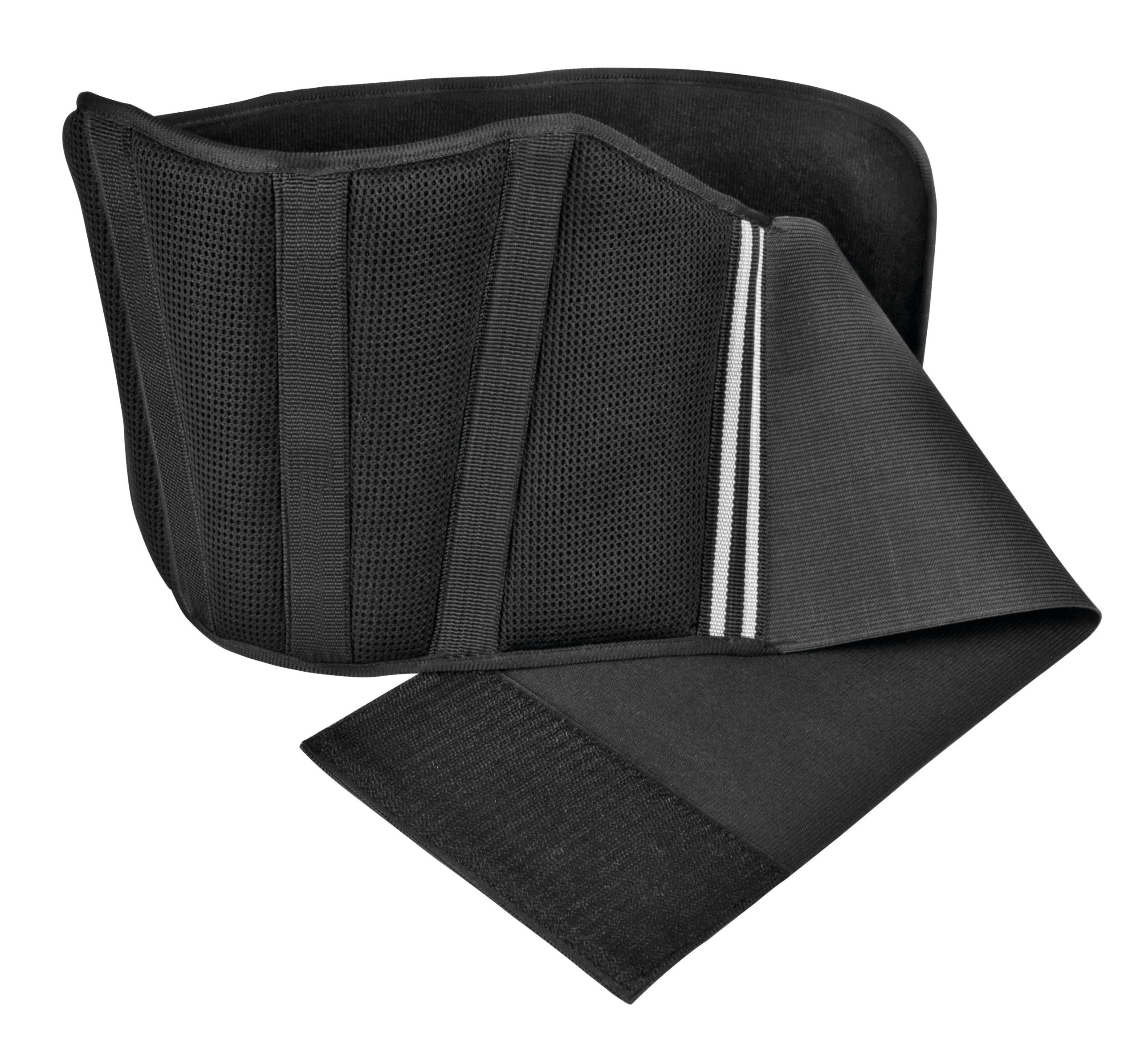 T-Maxter Back, Fascia Elastica Lombare