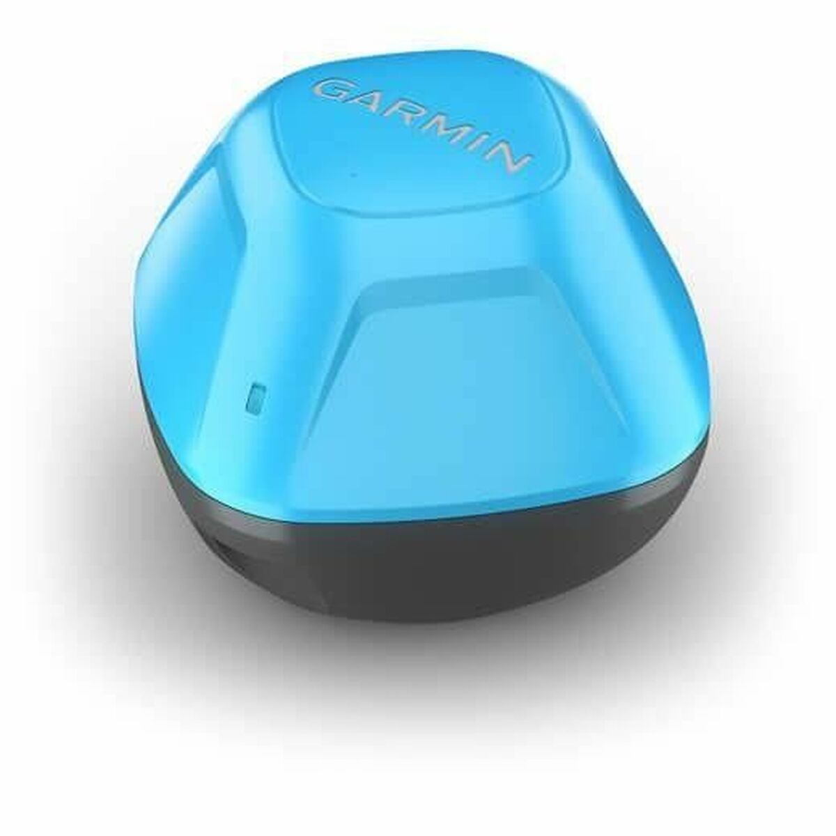 Cerca Pesci Garmin Striker Cast