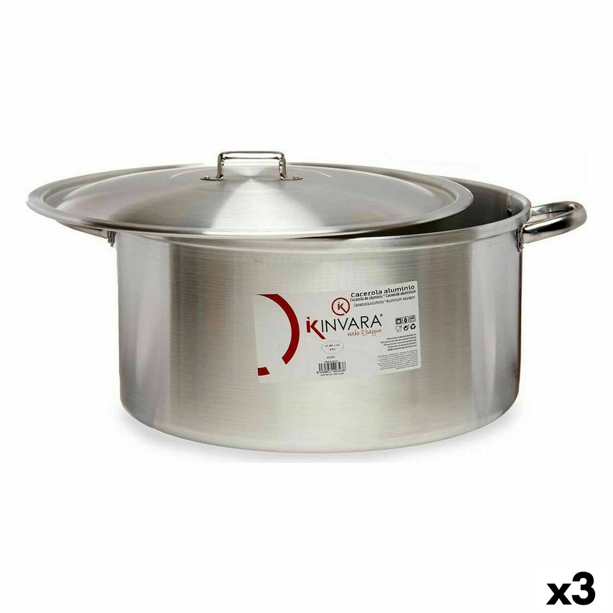 Casseruola Con Coperchio Kinvara Argentato 53 X 24 X 43 Cm (3 Unità)
