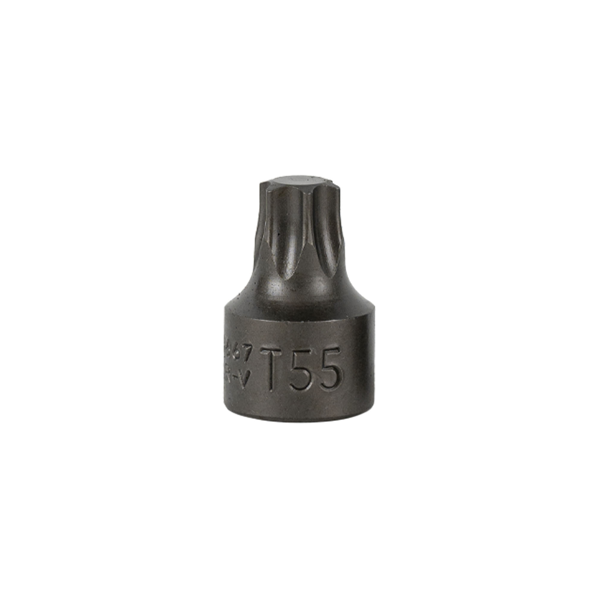 3/8"/0,95cm T55 Punta Torx Corta (rif.54546)