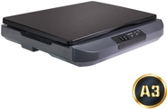 Avision Fb5100 FlachbetT-Scanner A3/usb3.2/600dpi/4 Sek.pro Seite - FlachbetT-Scanner - A3 (000-1129-02g)