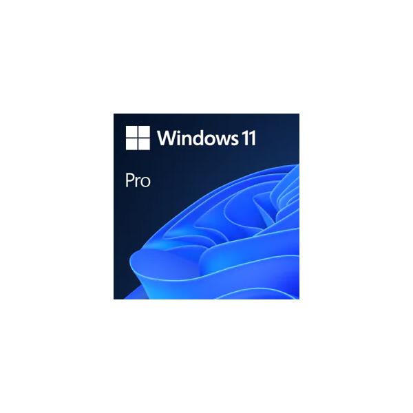 Microsoft Windows 11 Pro - Licenza - 1 Licenza - Esd - 64 Bit, Vendita Al Dettaglio Nazionale - Multilingue