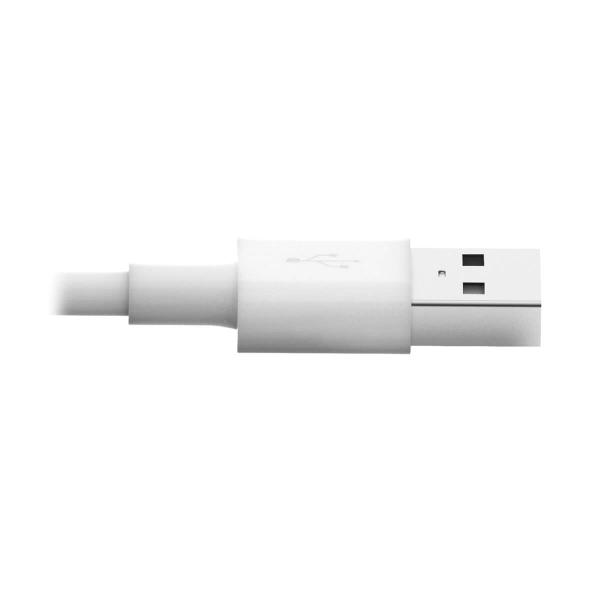Tripp Eaton Tripp Lite Series UsB-A To Lightning Sync/charge Cable (m/m) - Image 4