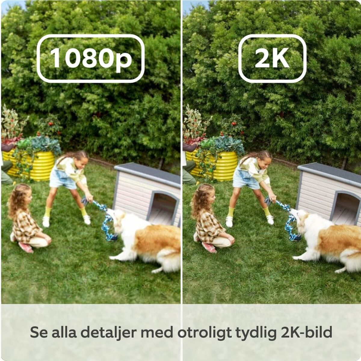 Videocamera Di Sorveglianza Amazon B0d23y1n3y - Image 4