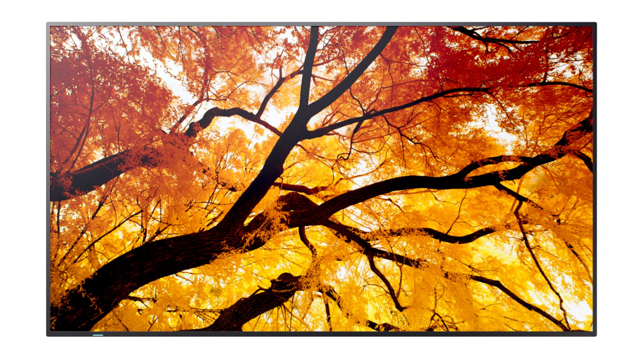 Sharp Multisync M752 Display - Displaygröße: 189,2 Cm (74,5") - Signaleingang: 1 X Displayport (digital), 1 X Usb Typ C, 2 X Hdmi (digital) [energiek