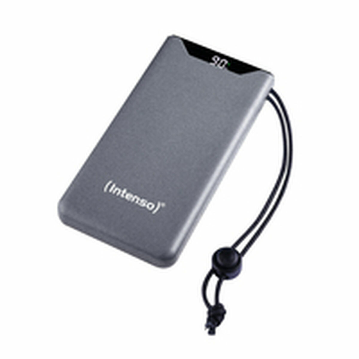 Powerbank Intenso 7332034 F10000 Grigio 20 W 10000 Mah