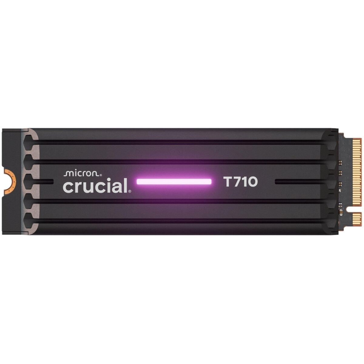 Hard Disk Crucial Ct1000t710ssd5
