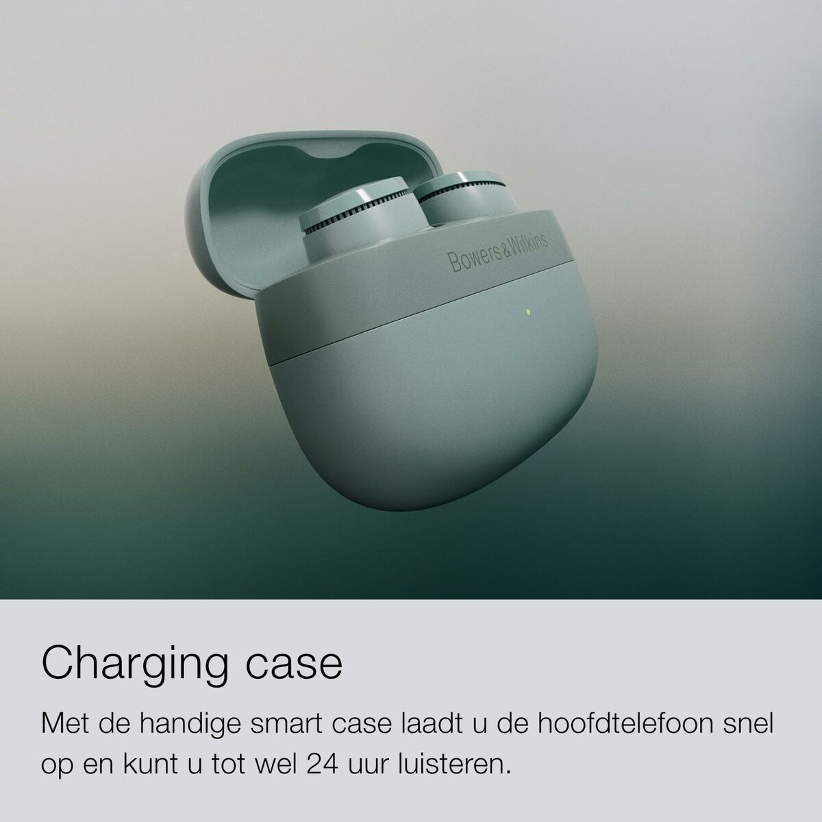 Auricolari Bowers & Wilkins Fp45004 Grigio - Image 6