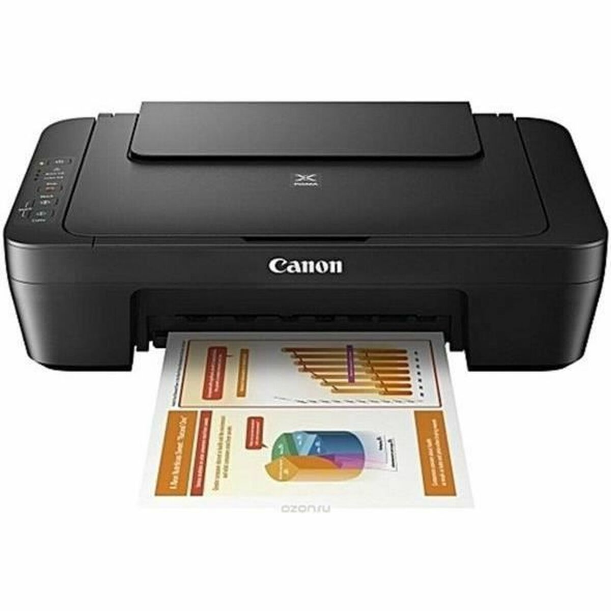Stampante Multifunzione Canon Mg2551s
