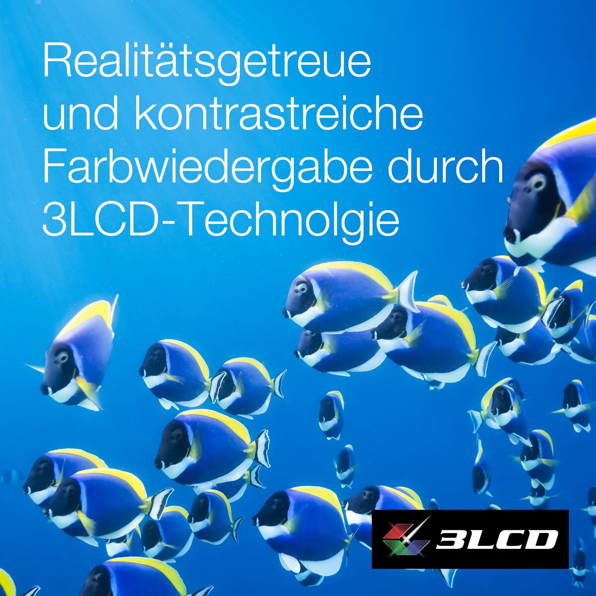 Proiettore Epson V11hb35340 Full Hd Lcd 1920 X 1080 px - Image 5